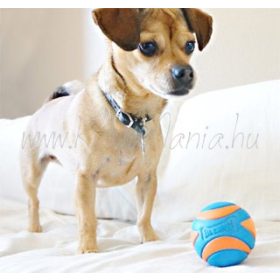 Chuckit! Ultra Squeaker labda M 1 db