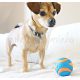 Chuckit! Ultra Squeaker labda M 1 db