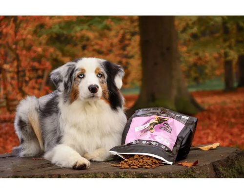 Doxneo Duck Grain Free 70g kóstoló