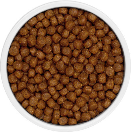 Eminent Adult 15 kg