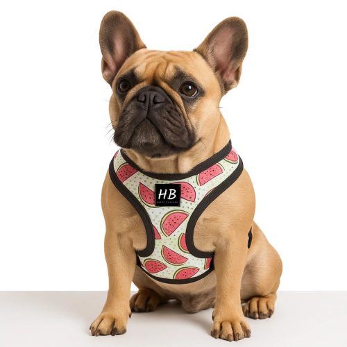 HAPPY BULLDOG dinnyés komfort kutyahám, S-es