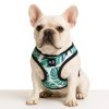 HAPPY BULLDOG hawaii komfort kutyahám, M-es