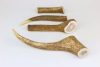 Marp Szarvas agancs- Deer Antlers S