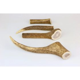 Marp Szarvas agancs- Deer Antlers S