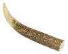 Marp Szarvas agancs- Deer Antlers S