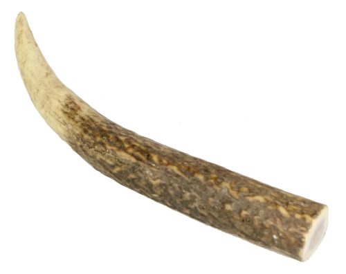 Marp Szarvas agancs- Deer Antlers S
