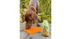 SmoothieDog - Zöldség smoothie kutyáknak 250 ml